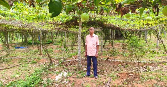 'Soldier Never Retires': 80-YO Grows Organic Passion Fruit Amidst Rubber Plantations