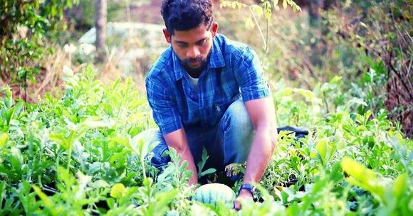 Engineer-Turned-Farmer's Way of Growing Yellow Watermelons Takes Goa By Storm