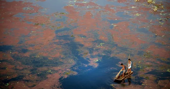 Detergents Add 1.46 Lakh Tons of Phosphate to India's Waters Yearly. This Has to Stop