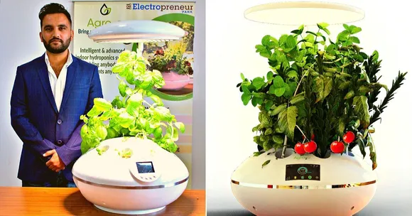 Grow Plants Without Soil: Delhi Startup Powers 'Smart' Hydroponic Garden With AI!