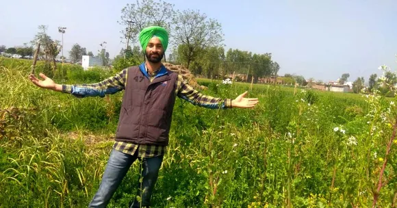 Wife's Pregnancy Makes Punjab Man Start Natural Farming, Now Grows 30+ Veggies