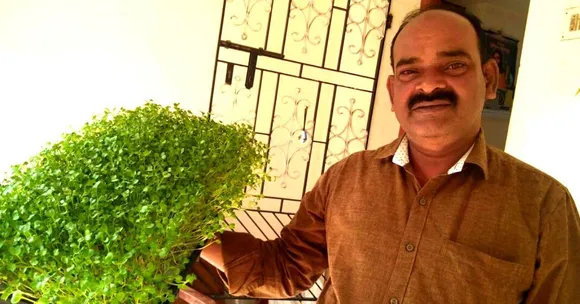 With a 10x10 Room, Chennai Entrepreneur Earns 80,000 Per Month From Microgreens!