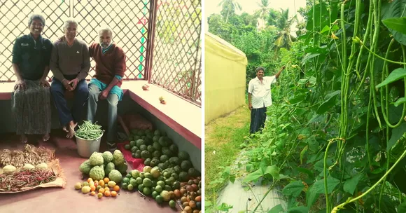 Here's How This Kerala Engineer Grows 26 Types of Veggies In Just 60 Sq Ft Space!
