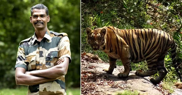 2000+ Trysts With Tigers in 20 Years: Meet Kerala's Tiger Sreenivasan