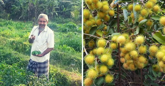 Kerala Man's Self-Sustaining 10 Acre Farm Gobbles Up the Waste of An Entire Society!