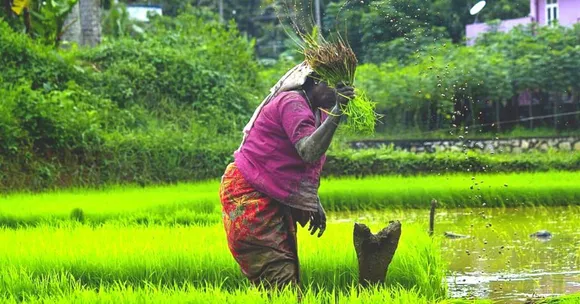 Can Centre's Agriculture Reforms Positively Impact Farmers? Experts Have Their Say