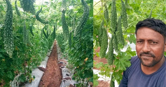 Once Rejected For a Job When he Didn't pay Bribe, Farmer Now Earns in Lakhs/Month