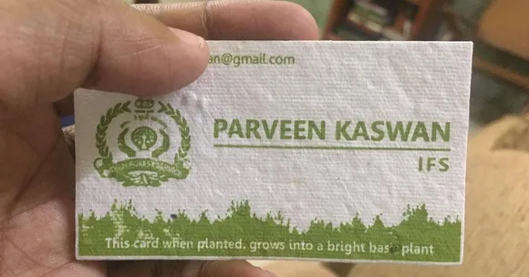 IFS Officer's Plantable Visiting Cards Go Viral, Here's How You Can Get Your Own