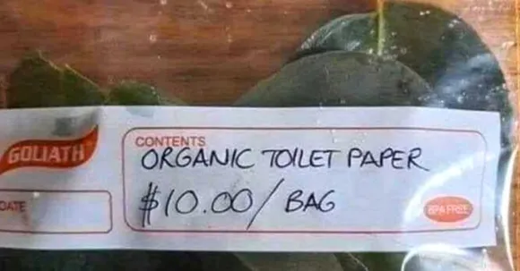 8 Bizarre Ideas You Wont Believe The World Tried to Pass off as ‘Sustainable’