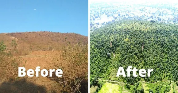 Madhya Pradesh IFS Officers Plant 54,000 Saplings in a Day, Turn Barren Hill Green