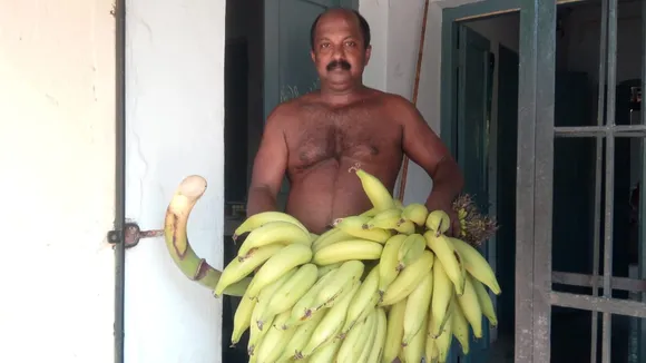 50-YO Kerala School Teacher Turns Waste Dump Yard into Fertile Farm in 4 Years