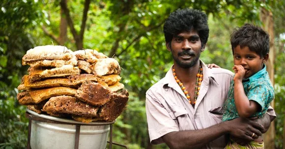 India's Leading Honey Brands Fail Adulteration Test: How to Check & Buy Pure Honey