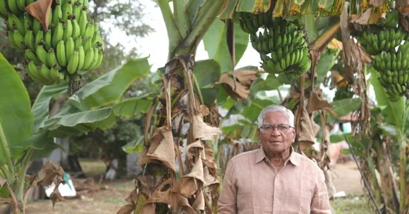 Maharashtra Man's Organic Fertiliser Cuts Water Use By 25%, Earns Rs 10 Crore/Year