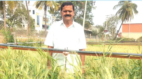 Thanks To This Farmer's Innovation, Rice & Wheat Can Now Be A Source of Vitamin D