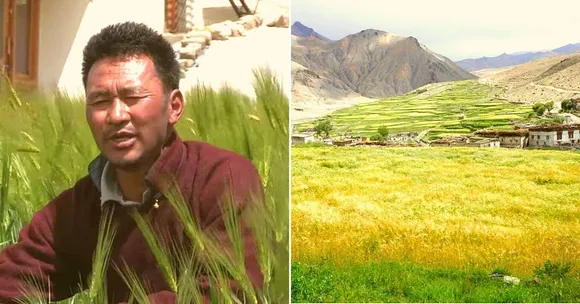 At 14,000 ft, Ladakhi Man's Organic Self-Sustaining Farm Earns Him Lakhs