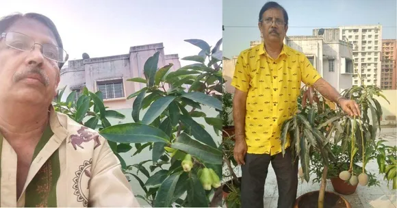 Blue Mangoes? Kolkata Surgeon Grows Them in Pots With Oranges, Jackfruit & Litchis