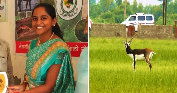 Fighting to Save Blackbucks, Real Life 'Shernis' Convince 13 Villages to Ban Cobra Wires