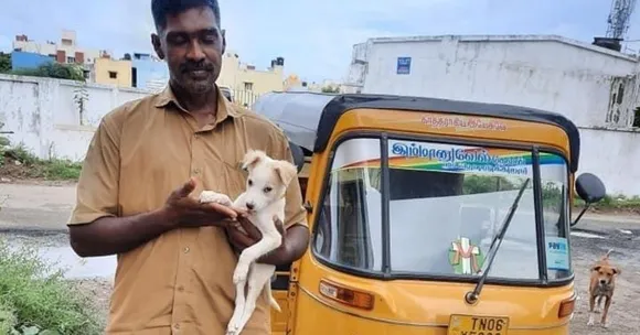 This Hero Turned His Auto Into an Ambulance For Injured Animals