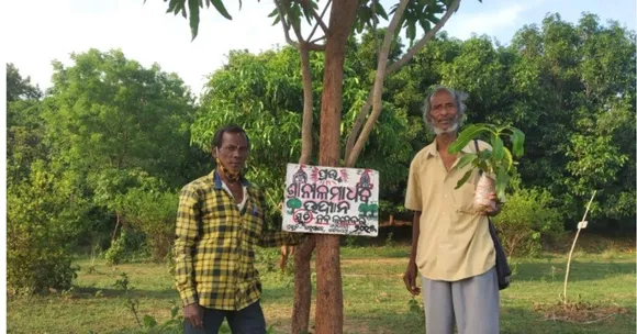 30,000 Trees, 1 Man: Meet Odisha's Incredible 75-Year-Old 'Tree Teacher'