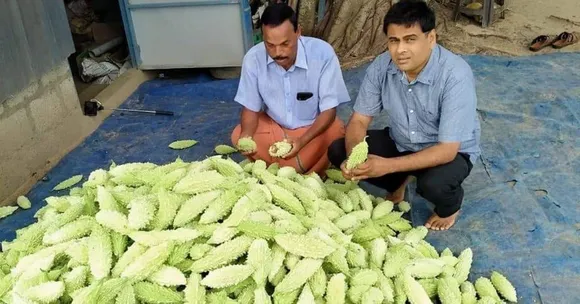 How I Used WhatsApp to Cut 'Lockdown Loss' For 35 Organic Farmers