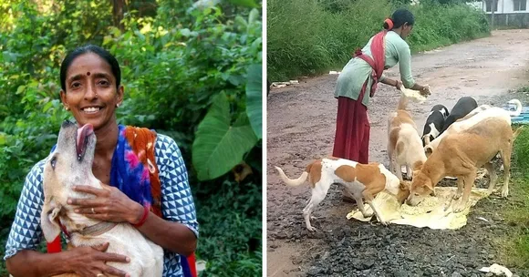 Unsung Hero: Domestic Help Feeds 800 Stray Dogs Daily, Climbs Down Wells to Rescue Them