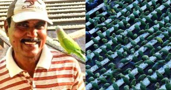 Watch: 'Birdman' Uses Own Savings To Feed More Than 8,000 Parakeets Every Day
