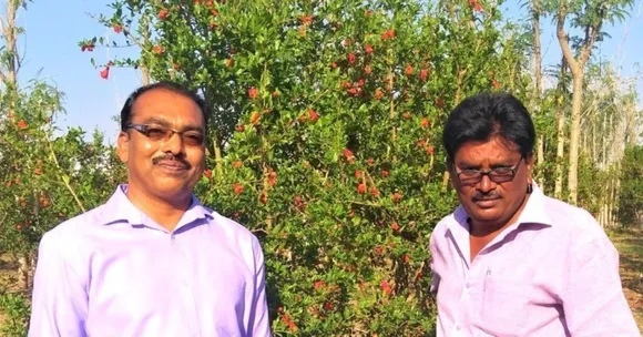 Father's Struggle Inspires Biochemist's Innovation That Boosts Crop Yield By 35%
