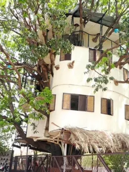 Inside the 3-Story House Built on a 40-Foot Mango Tree Without Cutting a Single Branch