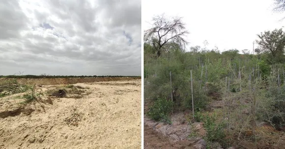 Engineer Uses Ancient Indian Paintings to Create 18-Acre Oasis In the Thar Desert