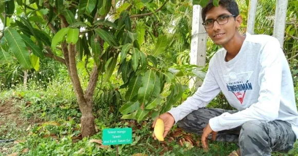 Gujarat Family's Mango Farm Boasts of 200+Varieties, Earns Rs 24 Lakh/Year