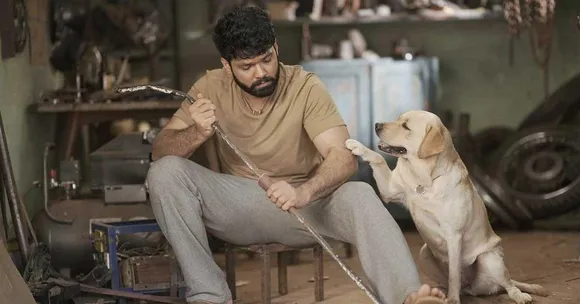 777 Charlie: 5 Heartwarming Stories of A Human & Dog’s Bond That Are Worth A Movie