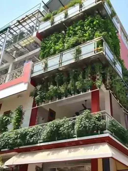 ‘How I Converted My 3 Storey Home into a Hydroponic Farm’