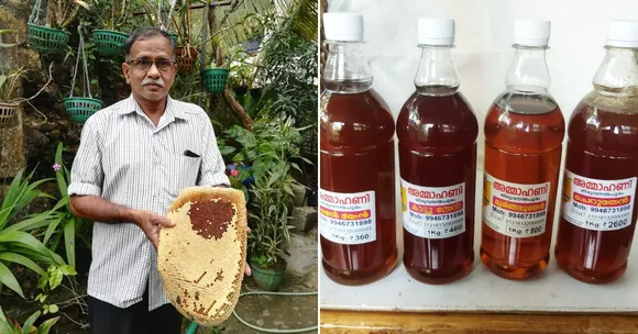Kerala Mechanic Launches 'Buzzing' Business, Harvests 1500 Kg of Organic Honey