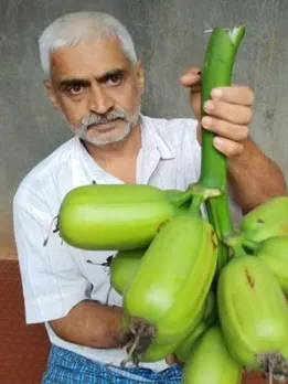 Farmer’s Exotic Food Forest has 1300 Plants Like Rambutan & Blue Bananas