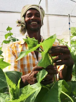 Two Indian Startups are Finalists in ‘Eco Oscars’; Winners to Get 1 Billion GPB