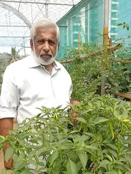 63-YO Wins Kerala Govt’s Best Terrace Farmer Award; Harvests 20 Kg Veggies Daily