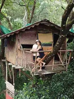 Live in a Tree House, Learn Organic Farming & Chocolate Making at Karnataka Farmstay
