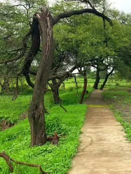 ‘How I Saved a Dying Historical Pond With 125 Volunteers & No Govt Funds’ - IAS Officer