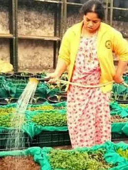 Delhi Woman’s Terrace Garden Yields 5 KG Organic Veggies Every Day; Here’s How