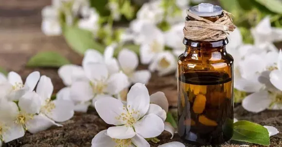 Used in Luxurious French Perfumes, What Makes Madurai’s Jasmine Oil So Expensive?
