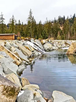 How an IAS Officer Restored a Dilapidated Historical Pond With No Govt Funds