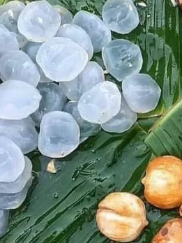 Ice Apples: India’s Traditional Summer Cooler & a Powerhouse of Vitamins, Nutrients