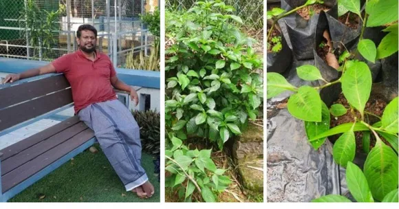 Engineer Turns His Home into a Hub of Over 500 Rare Medicinal Plants