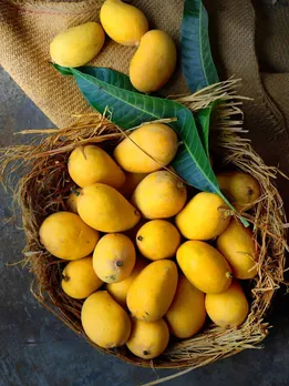 Slicing History: Who Took Mangoes from the Indian Sub-Continent to Rest of the World?