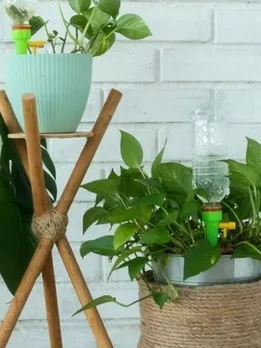 5 DIY Self-Watering Hacks To Keep Plants Healthy in Summers