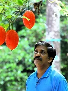 Kerala Farmer Grows Exotic Fruit Native To Vietnam; Earns Rs 2 Lakh Selling Seeds