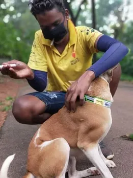 With 1 Lakh Dogs Vaccinated/Year, How Goa Became India’s 1st Rabies-Controlled State