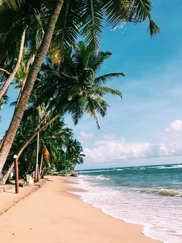 8 Lesser-Known, Quaint Beaches to Explore on Your Next Vacation in Kerala