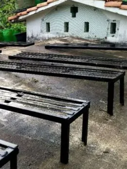 How To Set up a Terrace Garden on a Slanted Roof? Kerala Gardener Shares Tips