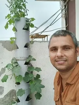 How to Grow Organic Veggies in PVC Pipes to Save Space & Money